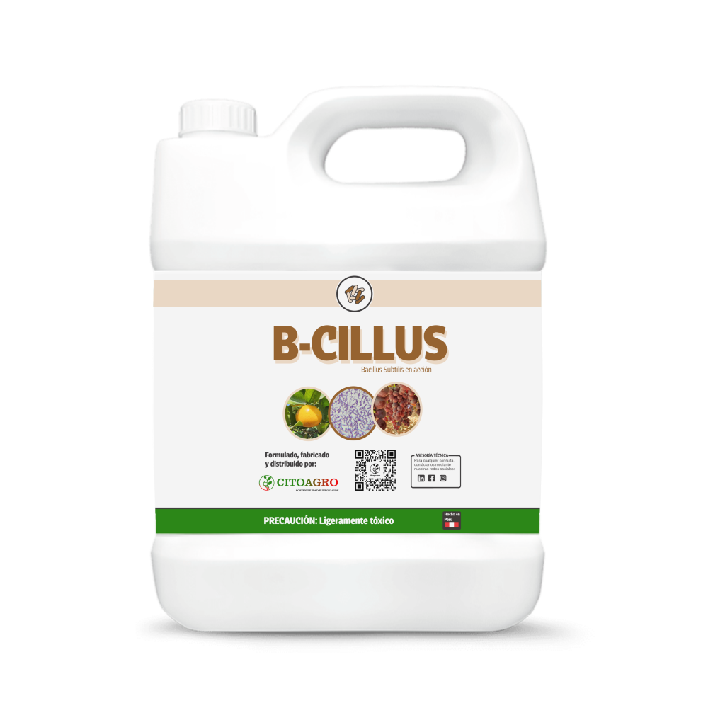B-CILLUS - Producto de CitoAgro